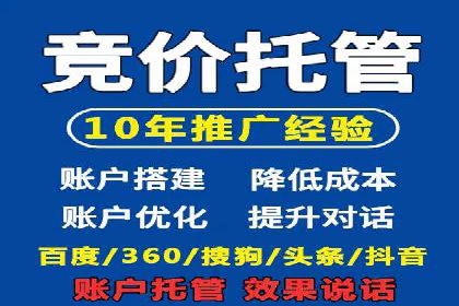 某电商平台的SEM关键词策略及成效分析